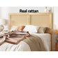 Bed Head Double Size Rattan ribo pine 637