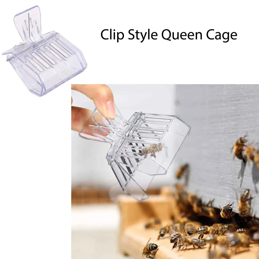 Beekeeping Tools Kit 10 Pcs Honey Bee Hive Beekeeper