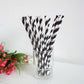 Biodegradable Eco Paper Drinking Straws 50 Pack - Black &