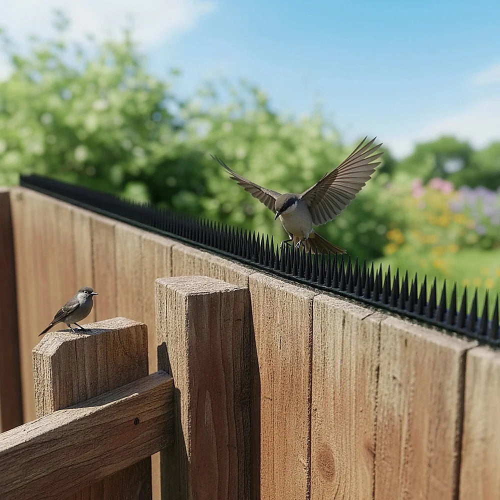 Bird spikes pest with control human cat possum mouse