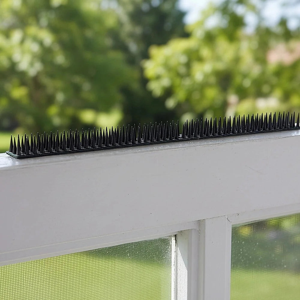 Bird Spikes Pest Control Set Of Twelve Human