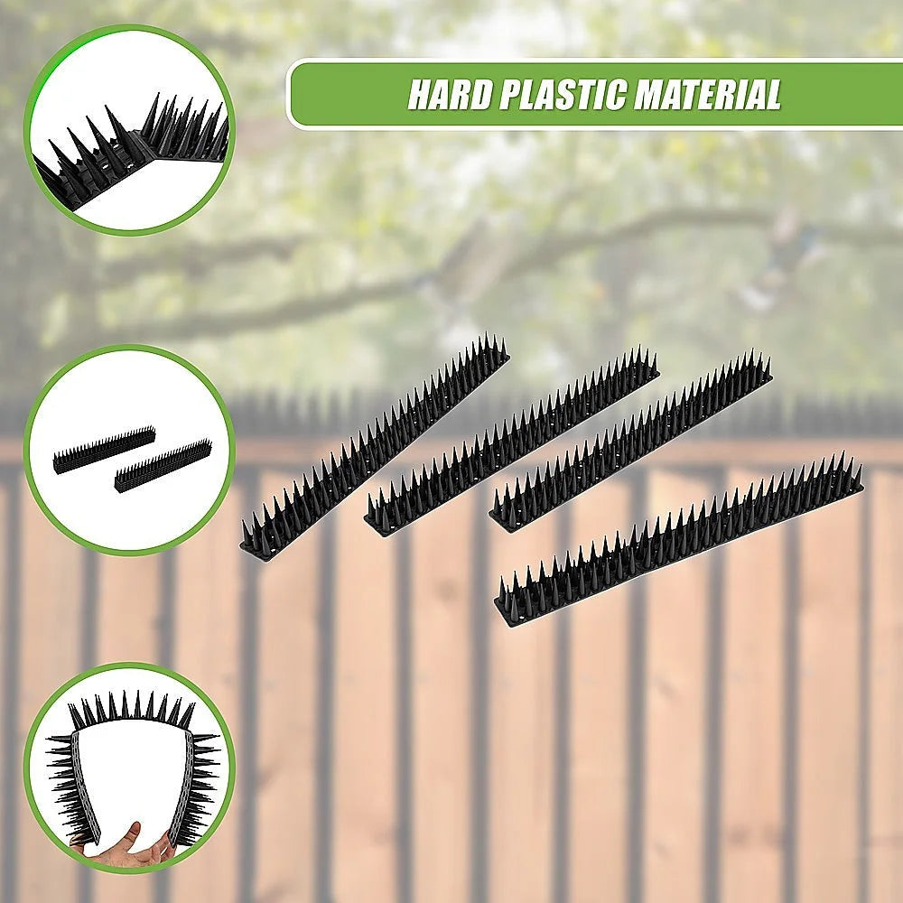 Bird spikes pest with control human cat possum