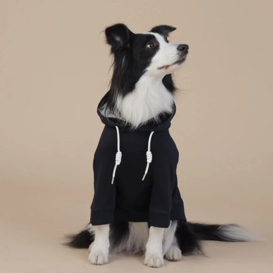 Black Classic Dog Sweatshirt with Hood & Drawstrings