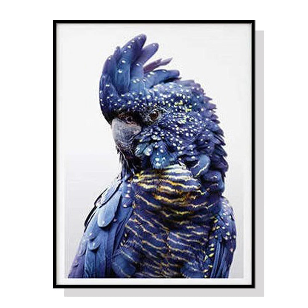 Black Cockatoo A Wall Art - Black Frame Canvas 60cm x 90cm