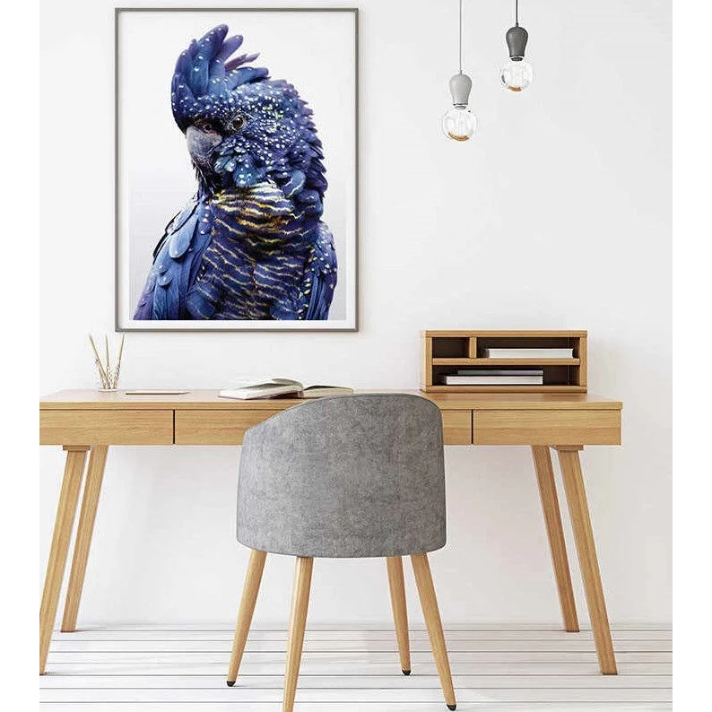 Black Cockatoo A Wall Art - Black Frame Canvas 60cm x 90cm