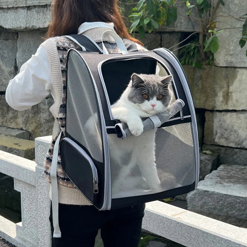 Black Foldable Pet Carrier Backpack - Breathable Mesh