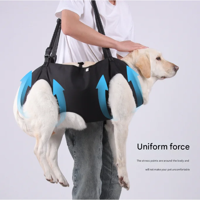 Black Pet Support Harness for Senior and Disabled Dogs