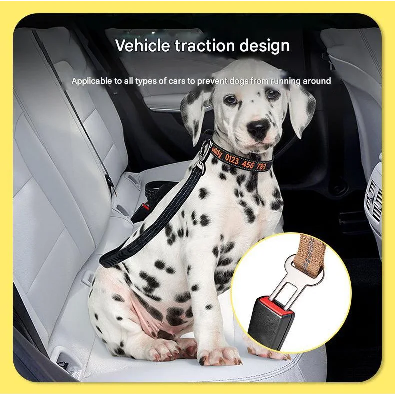 Black Shock Absorbing Dog Leash with Reflective Stitching