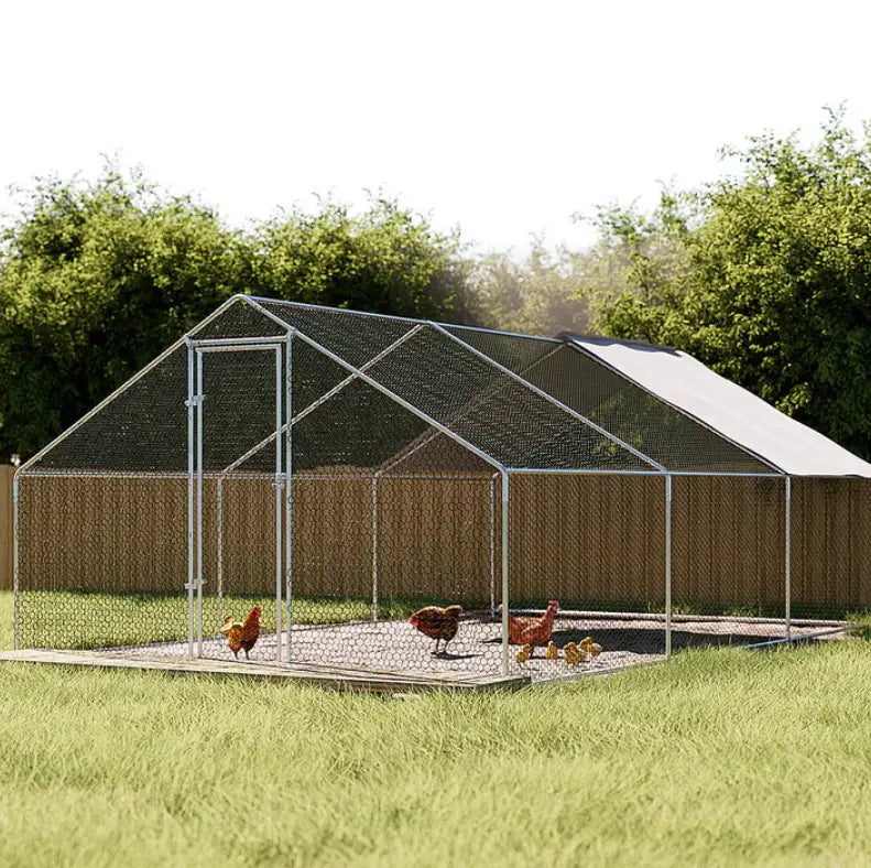 The Ultimate Guide to Choosing the Right Chicken Coop