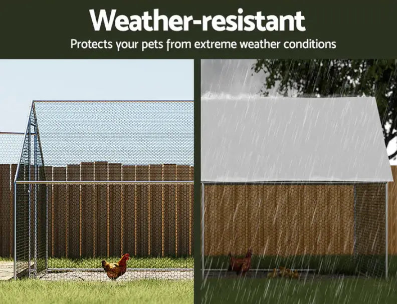 The Ultimate Guide to Choosing the Right Chicken Coop
