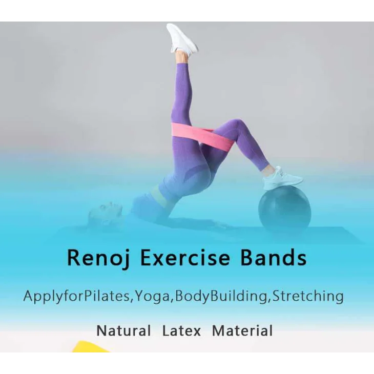 Blue 10 Pieces of 2 Sets Premium Resistance Loop Bands