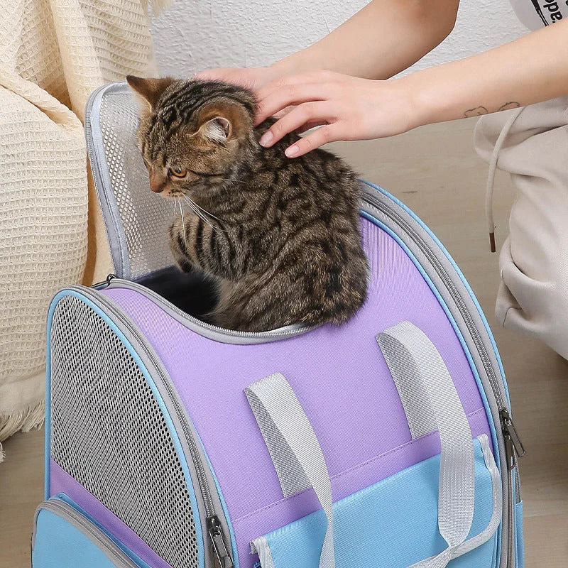 Blue And Purple Portable Pet Carrier Backpack - Spacious