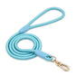Blue Durable Nylon P-Collar Dog Training Set - Heavy Duty