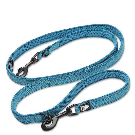 Blue Function Leash (M)