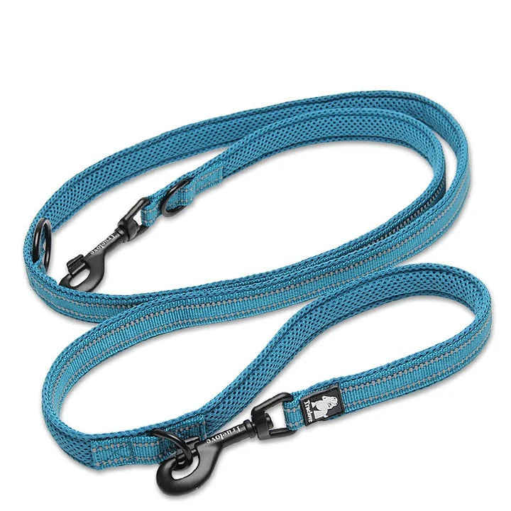 Blue Function Leash (S)