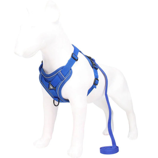 Blue Reflective Mesh Dog Harness and Leash Set - Adjustable