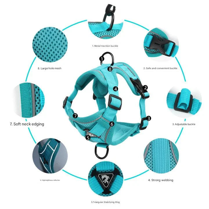Blue Reflective Mesh Dog Harness and Leash Set - Adjustable