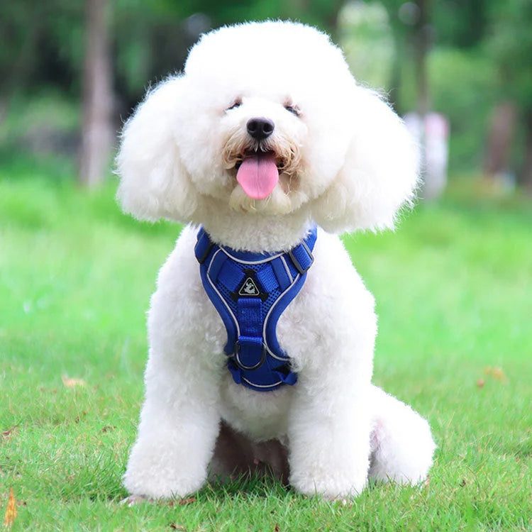 Blue Reflective Mesh Dog Harness and Leash Set - Adjustable