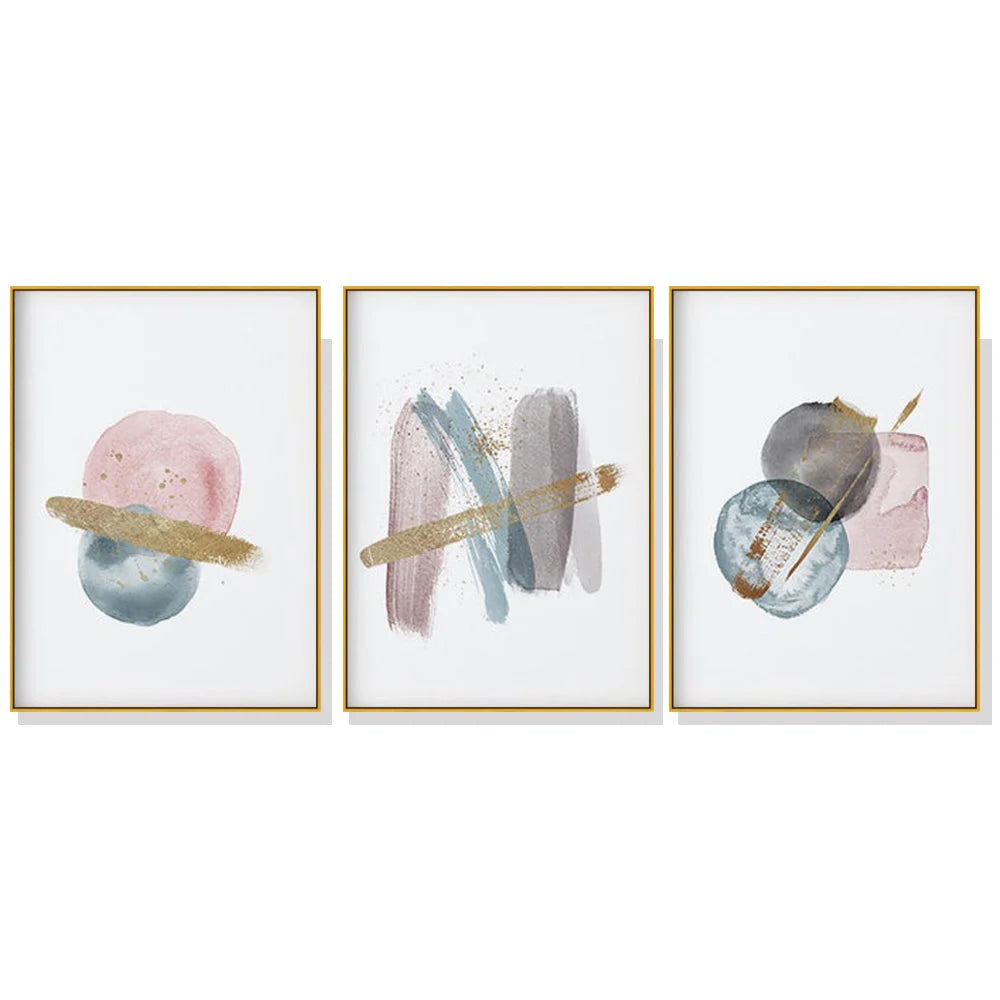 Blush Pink Watercolor 3 Sets Gold Frame Canvas Wall Art
