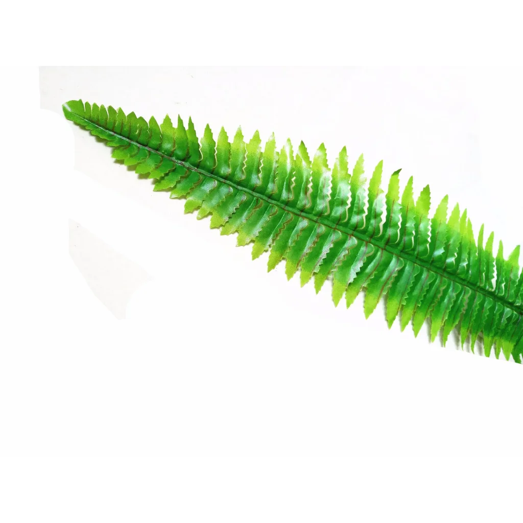 Boston Hanging Fern 102cm