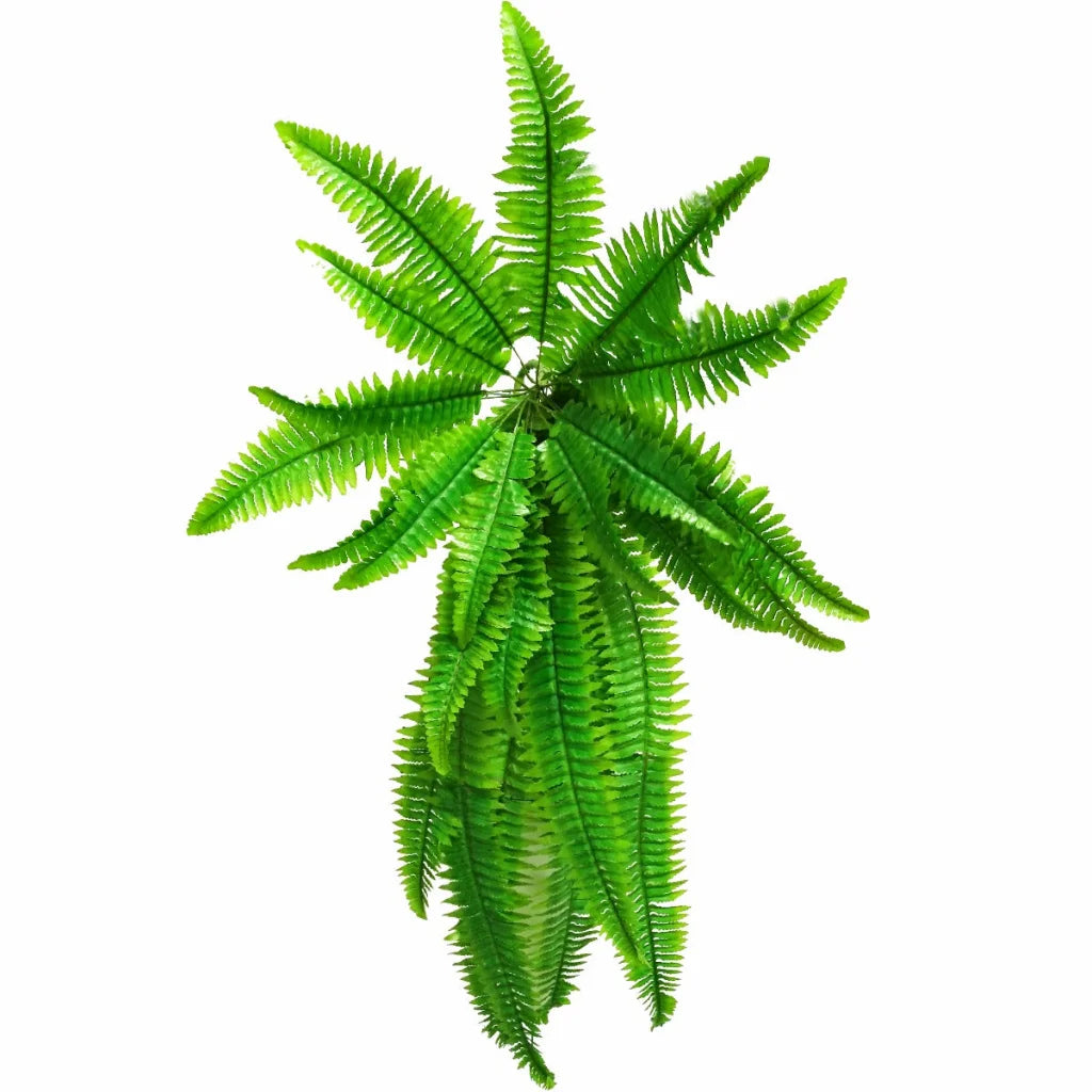 Boston Hanging Fern 102cm