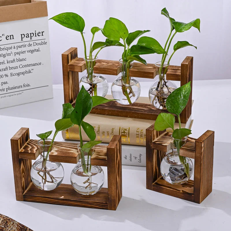 Brown Desktop Plant Propagation Station - Rustic Wooden