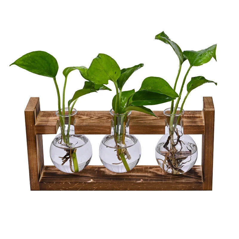 Brown Desktop Plant Propagation Station - Rustic Wooden