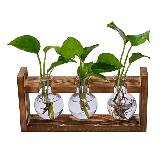 Brown Desktop Plant Propagation Station - Rustic Wooden