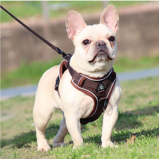 Brown Reflective Mesh Dog Harness and Leash Set