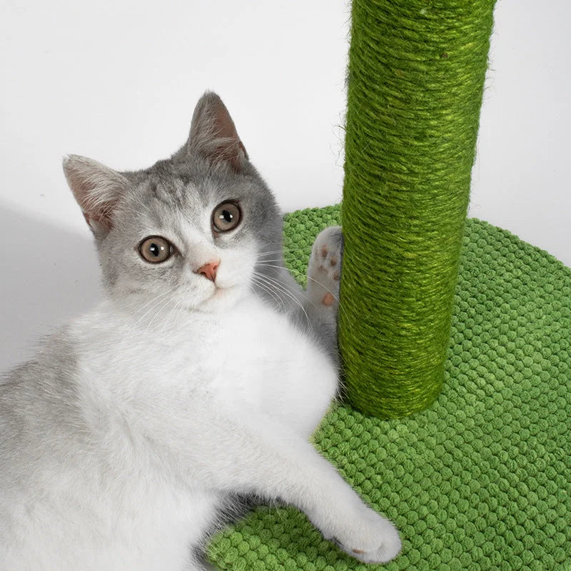 Cactus-Shaped Cat Scratching Post with Sisal Rope and Plush