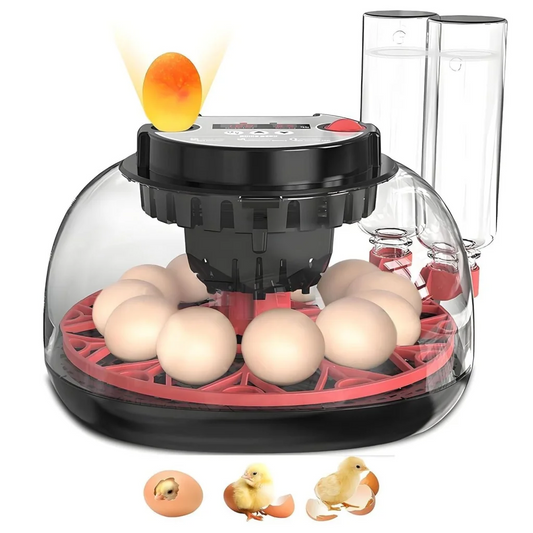 CARLA 12 Egg Incubator with Automatic Turning LED