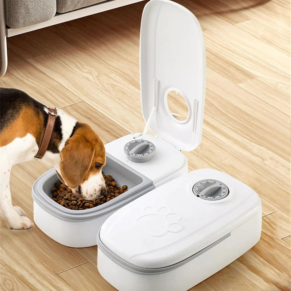 CARLA HOME 2 Meal Automatic Pet Feeder with Timer for Cat &