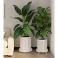 CARLA 2 Pack Rolling Plant Stand