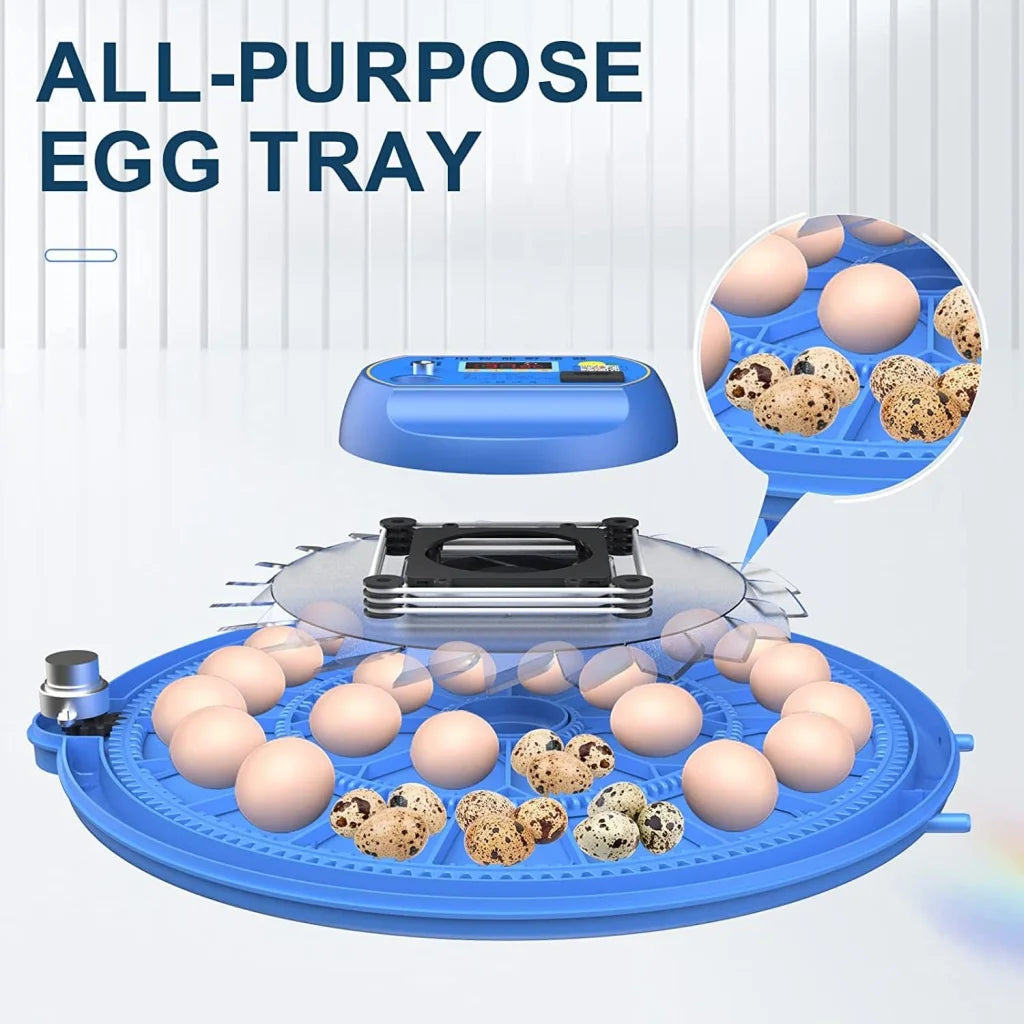 CARLA HOME 52 Egg Incubator with Automatic Turning LED
