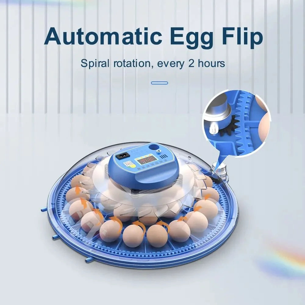 CARLA HOME 52 Egg Incubator with Automatic Turning LED