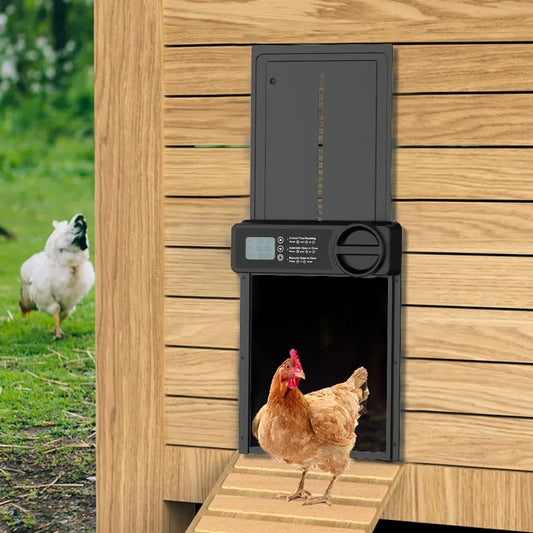 Carla automatic chicken with material finish and practical fittings