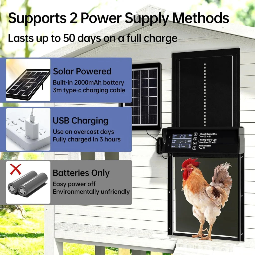 Automatic chicken coop with display setup and product form