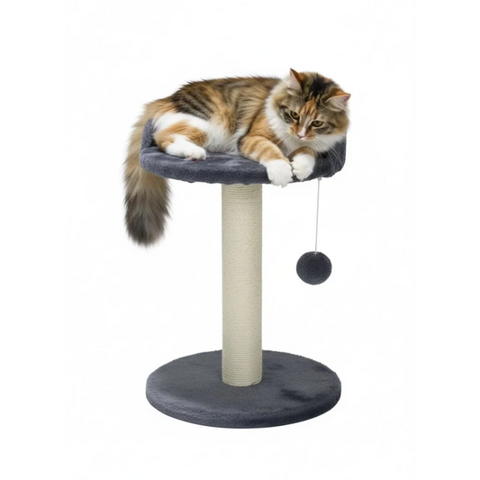 CARLA HOME Cat Tree Tower for Indoor Cats with Plush Perch