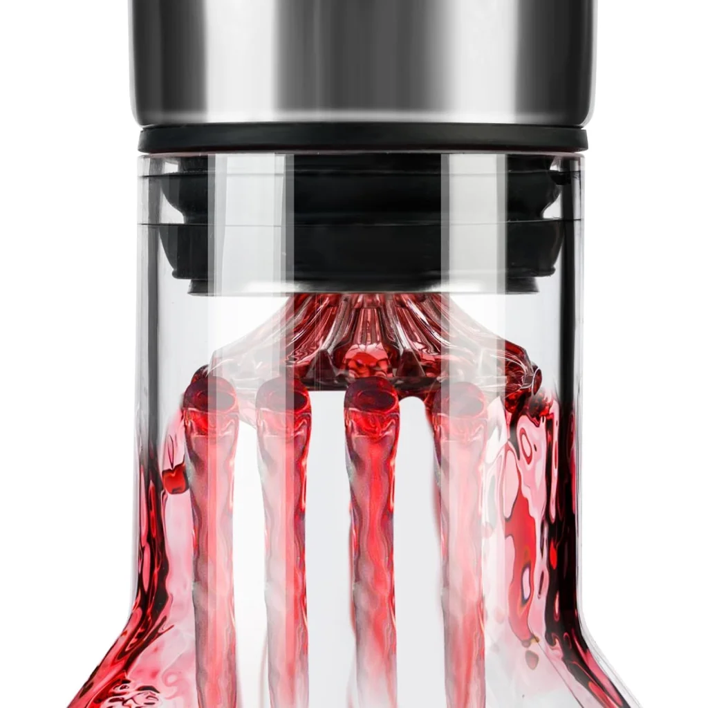 CARLA HOME Iceberg Wine Decanter with Aerator Filter