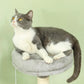 CARLA HOME Large Cat Tree Tower for Indoor Cats with Plush
