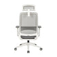 Carlie High Back Molded Foam Seat Ergonomic Office Chair