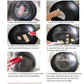 Cast Iron Fry Pan Set Premium 2X 30cm Ribbed Steak Sizzle Skillet Coating Platter