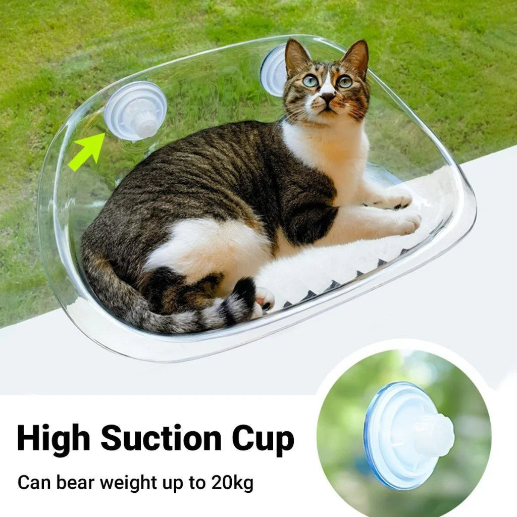 Cat Hammock Bed Glass Hanging Basket Clear Pet Nest