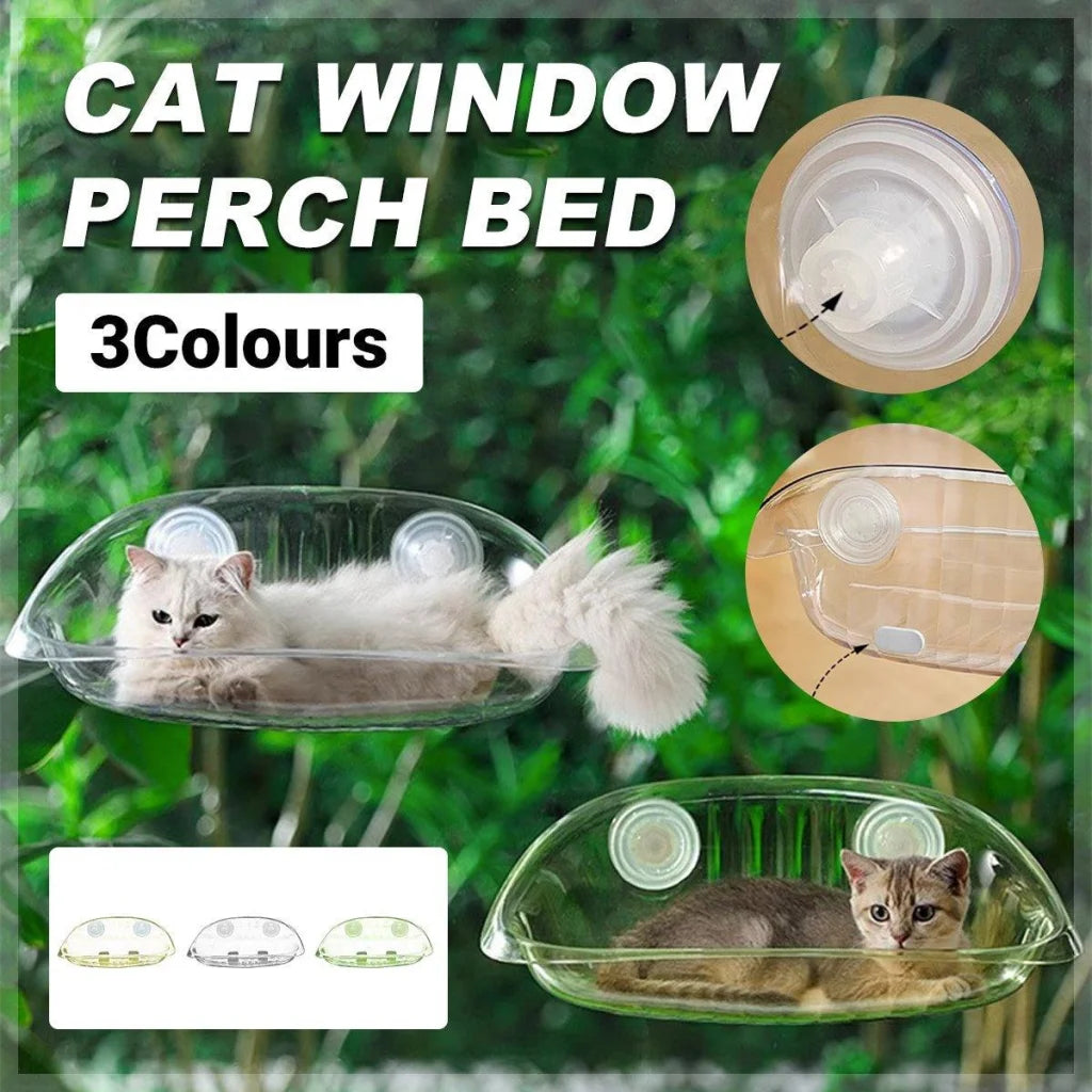 Cat Hammock Bed Glass Hanging Basket Clear Pet Nest