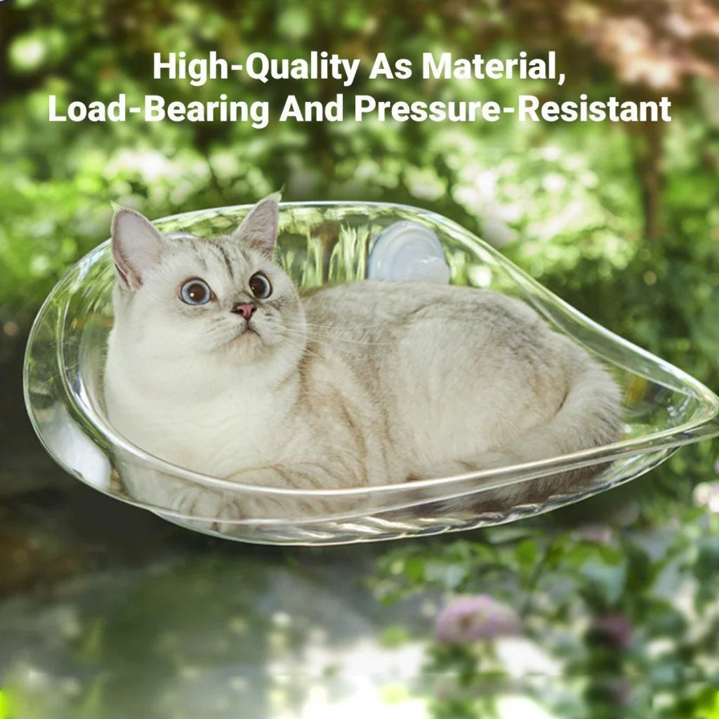 Cat Hammock Bed Glass Hanging Basket Clear Pet Nest