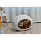 Cat Kitten Box Medium Cave Igloo Cat Bed House Dog Puppy