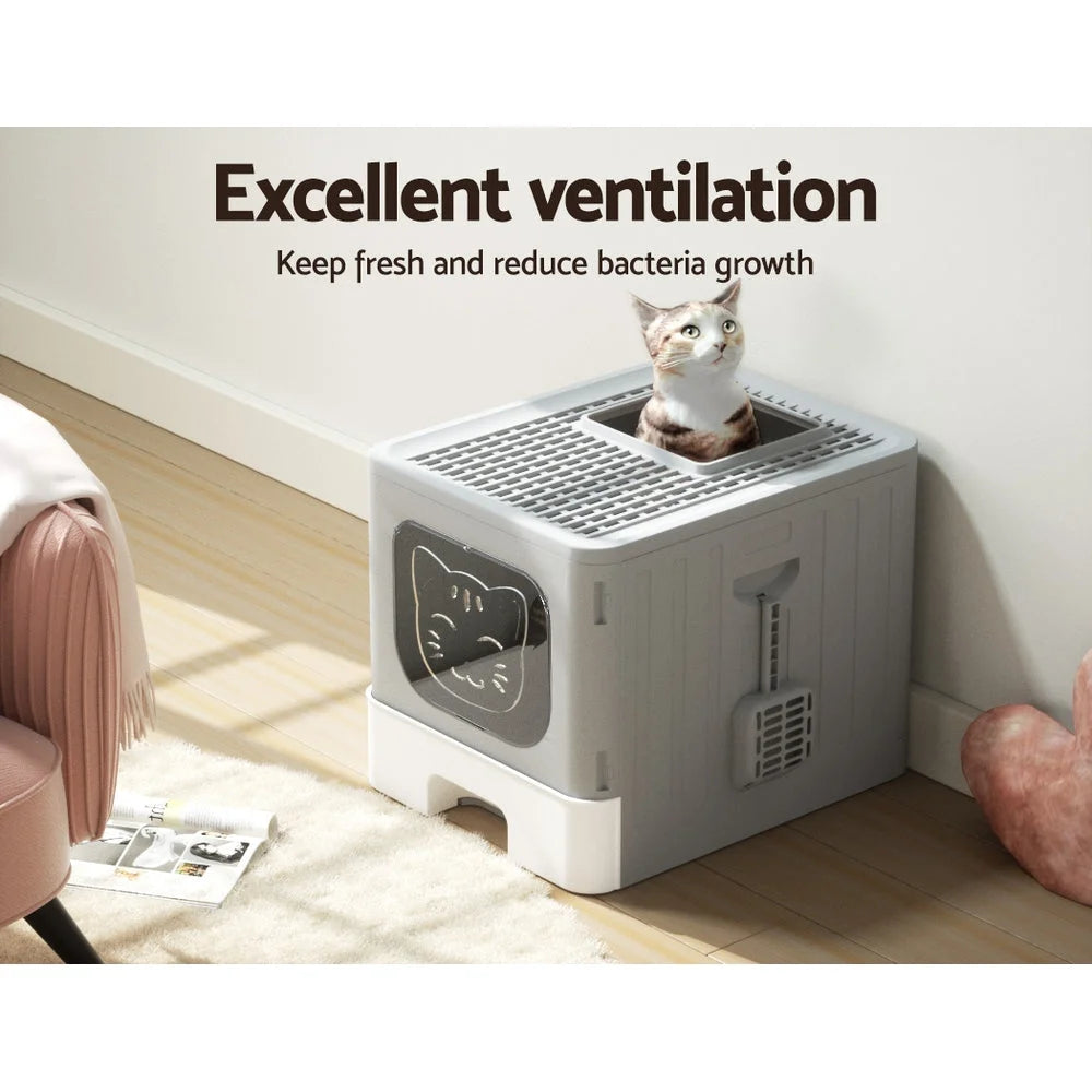 Grey cat litter box with key surfaces and edge shape