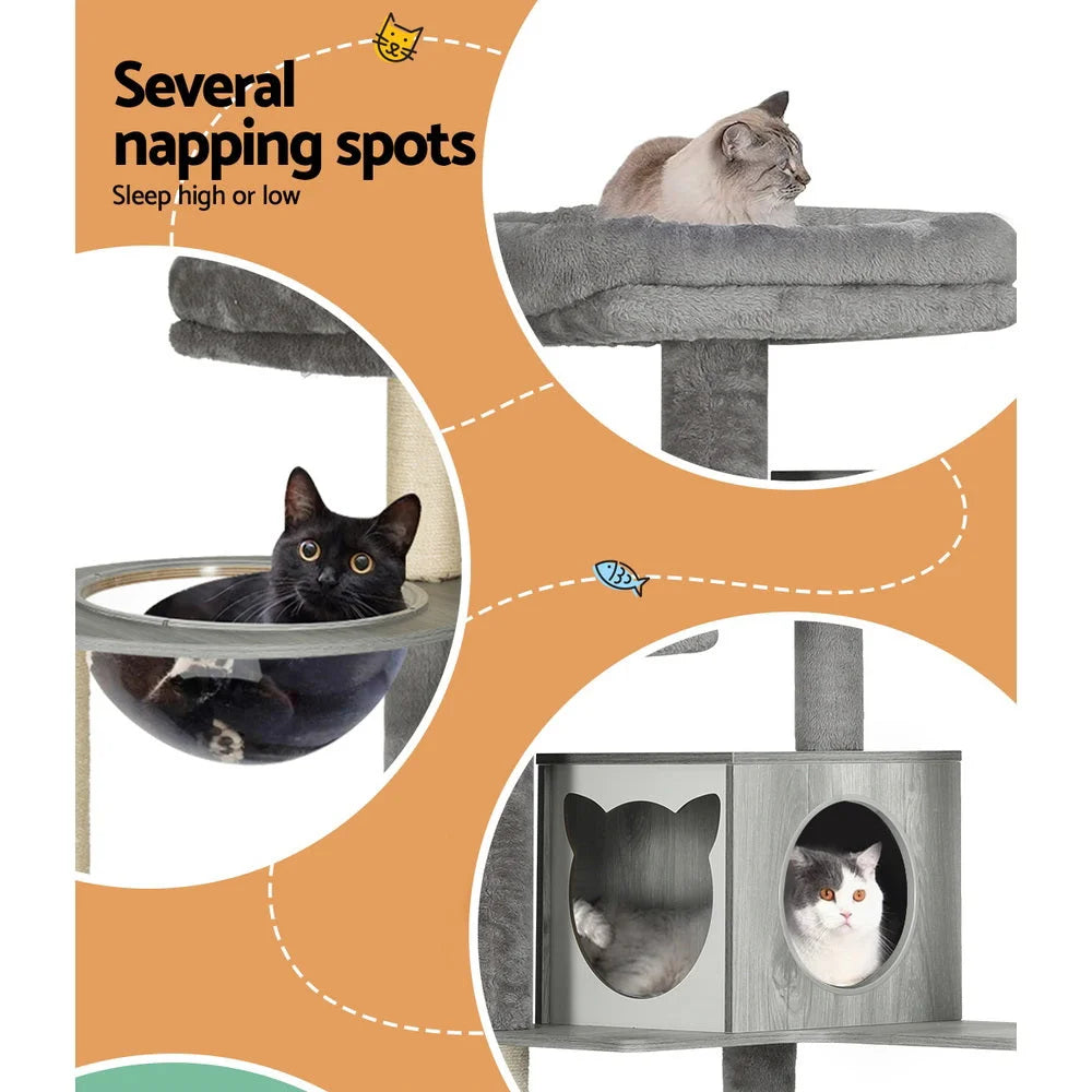 Cat tree with i pet tower scratching post