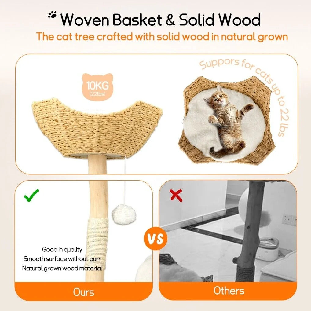 Cat Tree Condo Activity Center Sisal Scratcher Tower - Pet