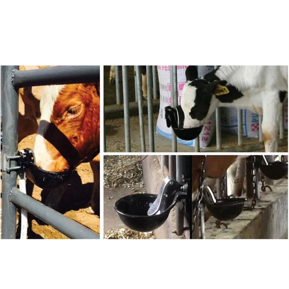 Cattle Drinking Bowl 25cm - Cast Iron Mounted Automatic